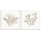 Stupell Industries Beige Coral Drift 2pc Wall Plaque Set, design by Lily K.